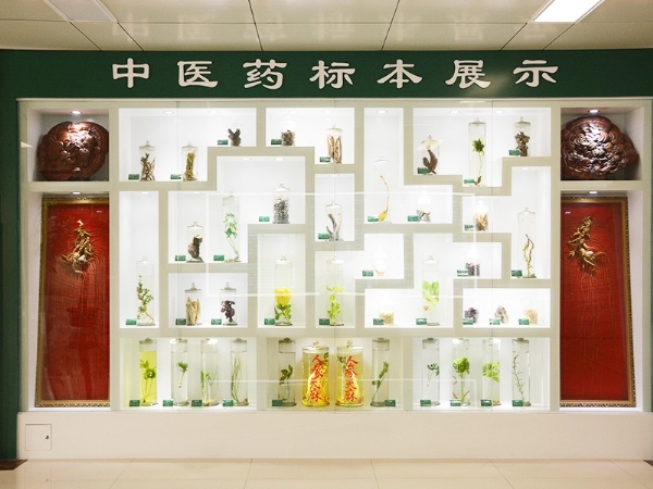 中醫(yī)藥標本展示